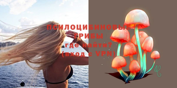 амф Абаза