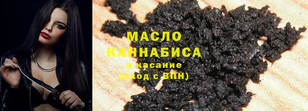 хмурый Алзамай