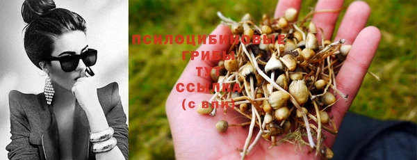 прущий лед Абинск